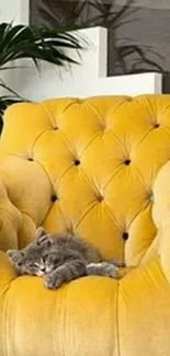 Cozy yellow chair with a sleeping cat.