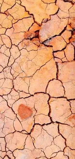 Cracked earth texture wallpaper with rich earthy colors.