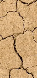 Cracked earth mobile wallpaper with dry soil texture.