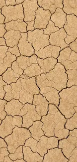 Cracked earth texture wallpaper with rustic, natural design in tan hues.
