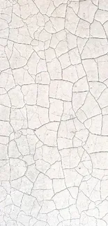 Cracked earth texture wallpaper for minimalist mobile design.