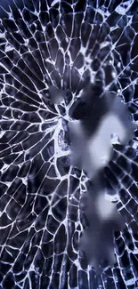 Cracked glass wallpaper with intricate pattern and dark blue tones.