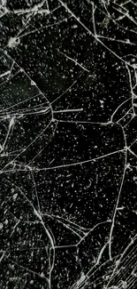 Cracked glass wallpaper with dark background and intricate patterns.