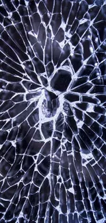 Intricate cracked glass pattern with deep blue shades for phone wallpaper.