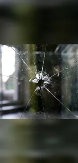 Cracked glass with reflections creating artistic patterns.