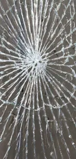 Cracked glass pattern wallpaper for phone screen.