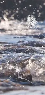 Cracked screen illusion over water background wallpaper.