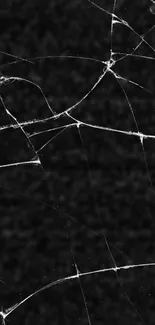 Cracked black texture wallpaper for phones.