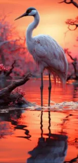 Crane standing by a glowing sunset lake.