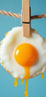 Fried egg on a clothesline against a sky blue background.
