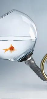 Creative goldfish in lightbulb-shaped fishbowl wallpaper.