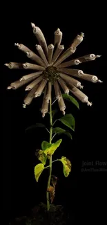 Joint flower artistic wallpaper with dark background and green leaves.