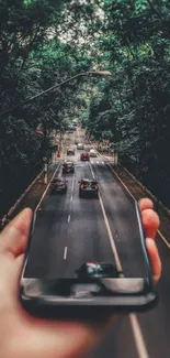 A unique phone wallpaper showing a road through a smartphone in a green forest.