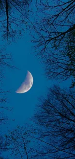 Crescent moon with forest trees under a dark blue night sky.