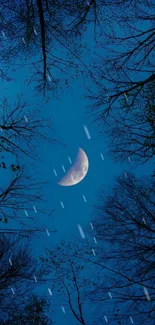 Crescent moon framed by silhouette trees in a dark blue night sky.