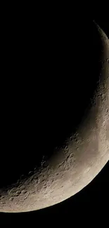 Crescent moon with detailed craters against a black sky backdrop.