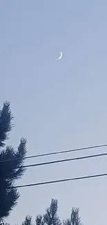 Crescent moon and tree silhouette against a light blue sky wallpaper.