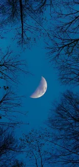 Crescent moon in a clear night sky surrounded by dark tree silhouettes.