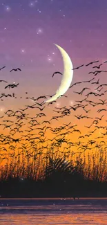 Crescent moon and birds at sunset over water.