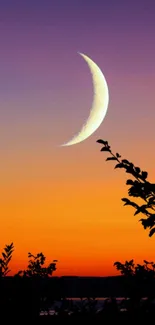 Crescent moon with sunset and silhouetted trees in the foreground.