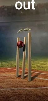 Cricket ball hits the stumps on field.