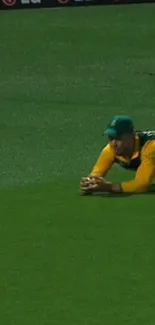 Cricket player making a diving catch on a green field.