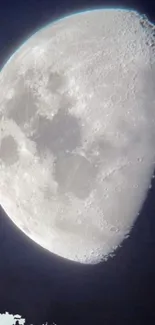 Detailed moon against a dark night sky.