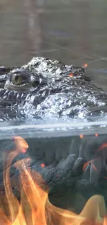 Crocodile head above water with flames below.