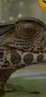 Close-up image of a crocodile's head with detailed textures.