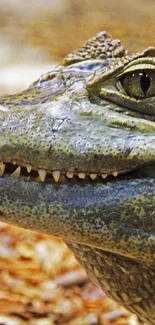 Close-up of a crocodile's face with detailed textures in green hues.