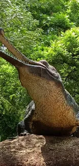 Crocodile basking on a rock under green canopy.