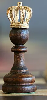Chess pawn with crown in focus amidst pieces.