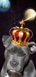 Crowned dog and planets in space wallpaper.