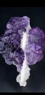 Amethyst crystal on black background wallpaper.