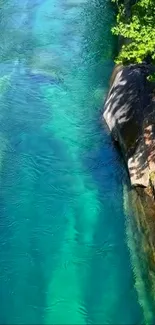 Crystal blue river with lush greenery border