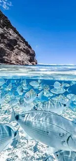 Ocean fish swim under clear skies.