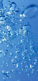 Crystal clear water droplets against a blue backdrop.