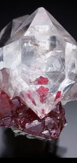 A beautiful crystal perched on red garnet stones with a black background.