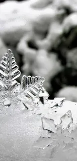 A close-up of sparkling crystal snowflakes on a snowy background.