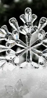 Intricate crystal snowflakes on a snowy background create a serene winter scene.