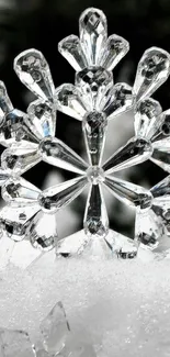 Close-up of a crystal snowflake with detailed icy patterns.