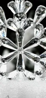 Close-up of a clear crystal snowflake against a white frosty background.