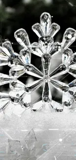 Crystal snowflakes in winter scene with snowy background.