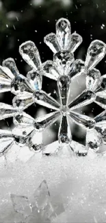 Intricate crystal snowflakes on snowy background.