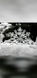 Crystal snowflakes on snowy winter background.