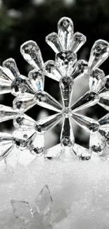 Crystal snowflakes displayed on a white winter background.