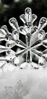Intricate crystal snowflakes on a snowy backdrop, perfect for winter wallpaper.