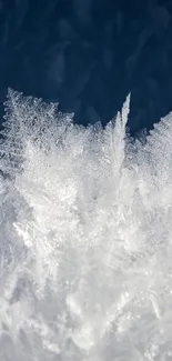Intricate ice patterns with a dark blue backdrop