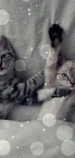 Adorable kittens cuddling under a soft blanket, creating a cozy scene.