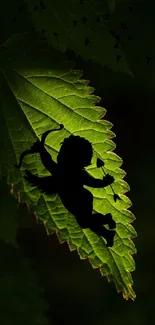 Mobile wallpaper with Cupid silhouette on a green leaf.